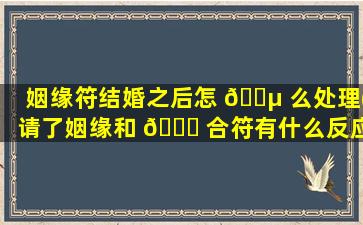 姻缘符结婚之后怎 🐵 么处理(请了姻缘和 🐘 合符有什么反应)